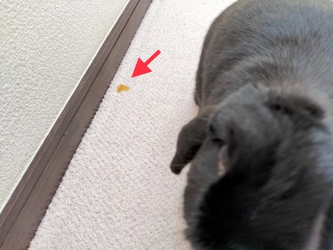 787A2F7D-3E3C-420A-9BF3-61E98663EE7E