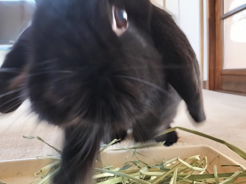 0528303B-2FC9-4EEA-8248-A2DC4FC40830