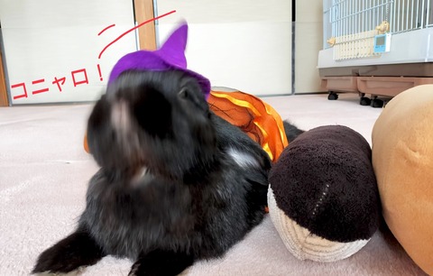 D078603C-A3D2-444C-BC2B-F4BE83005028