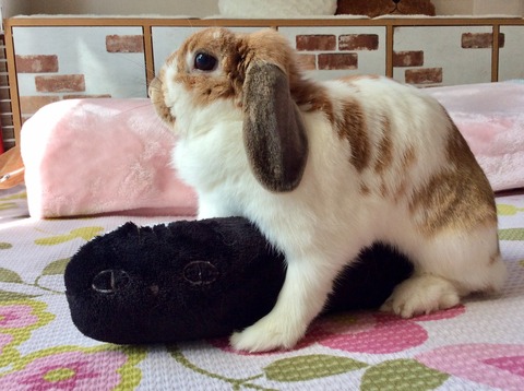 414D3AB7-4ABF-40AE-A67E-78A83A1A9C73