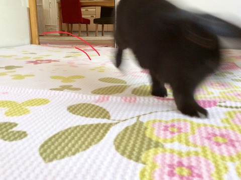 0F76797B-8D9D-4639-845D-673ED8AF9C25