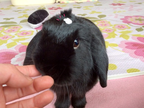 DD6EF693-92EB-4157-81E5-D5FAB42498A9