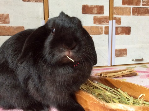 A269EFD5-AD3C-4440-A2B1-3177A9E1EE08