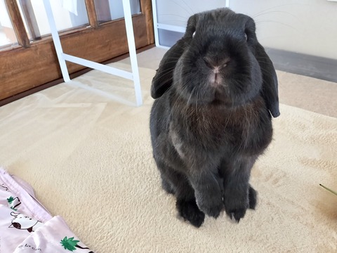 195D5285-62BF-4265-8CD5-012C7F273F7C