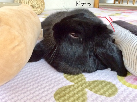 FFA6162D-5200-441A-9089-D6E1DEB94390