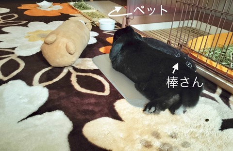 AC7390B4-045E-46B1-BB3B-FDEC36018872