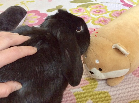 5C9BC9FE-5FCF-49F0-AB13-196DD786154B