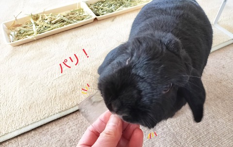 F9F8E8B6-7F34-4479-9B07-ECB1EEB35EED