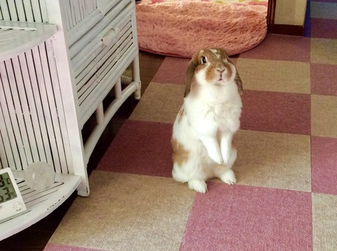 D760CFFE-0ADE-47E0-88F6-562484D7150B