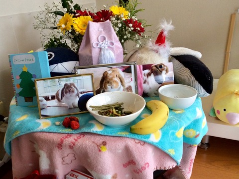 38A43F33-2459-442D-9153-B79416030134