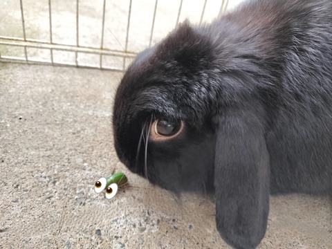 F18B3F9A-47E0-4472-BA74-9710823F319B