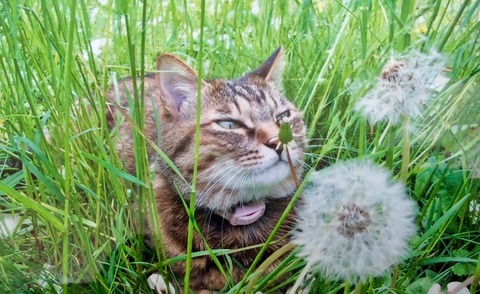 CA50048A-50D9-4D49-9D40-8376372C66CD