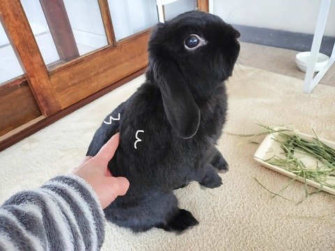 F656ACBA-4E04-41C3-9C97-5B3E100D3432