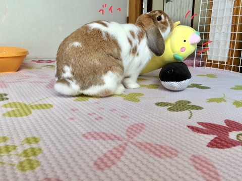 E8A72C82-EBF4-411B-B722-15B7C483F611