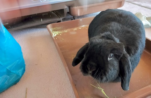 3F6A3743-DC6F-4EDE-9037-D5A5F5664204