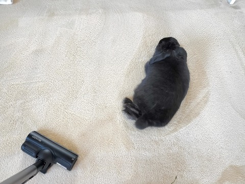 F5947081-BA01-42AB-BA79-2EEB41B765E9