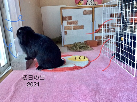 CBC4180A-39D4-43B5-98D1-7FE7DBF4C43D