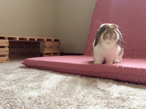 8B0295B2-1727-4B8A-8C86-417EFCD7D955