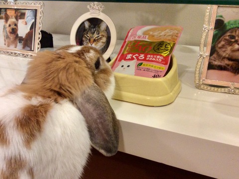 888AB1AC-741A-4985-8C92-17F6120D48D2