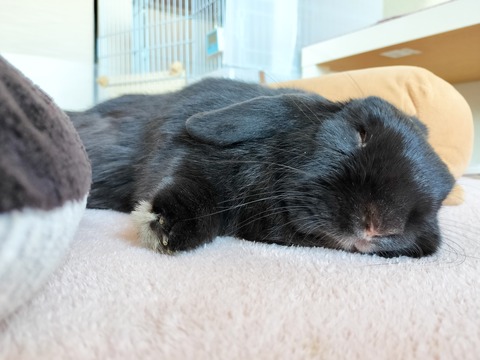 B13602DD-44A9-49EC-9DA4-35ECCF69FE63