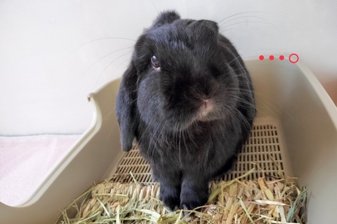 CA5DF0F9-4E37-4F93-869D-F36823E73C9B