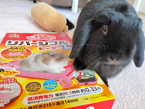 694C450E-F4D6-4FBB-924F-013B91E0B8E4