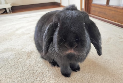 97AFD643-279B-49F8-BAD1-83DAFEA08935