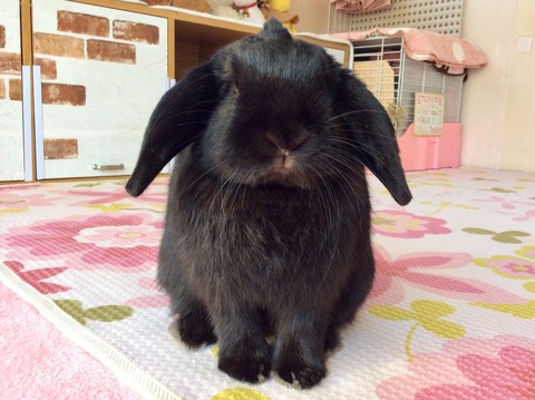 8C937580-2F19-4C6C-BF14-55B74AED6F21