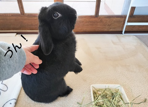 11F9AF5E-60CD-4912-99ED-8AB04BBF484D