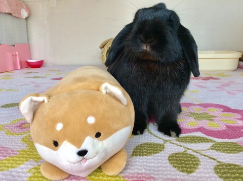 D659D9CB-4588-41C1-A443-98C07F5C2DB8