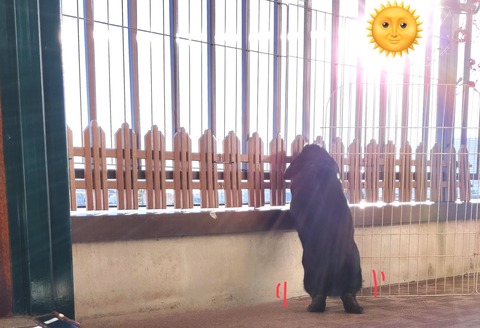 FCD72BA9-5681-498D-AA43-E4BCE02A8421