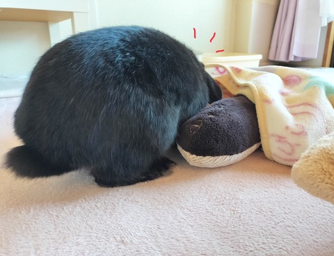 9D97C433-BC91-46F2-829A-3701C8423CEB