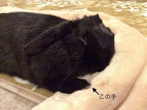 CA2AD22D-FFA7-4569-B3B3-0AD7B8E365BE