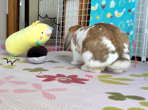 2F788B9E-4569-4FC9-A3B4-728A4E9CBBF9