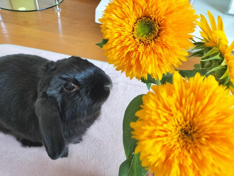 2DC10B38-0A1F-4793-9E13-BF1C7936E86B