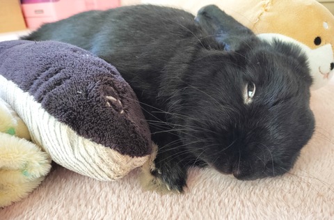 560DCE3B-6CBB-4AFA-9739-8DB6608D4ED3