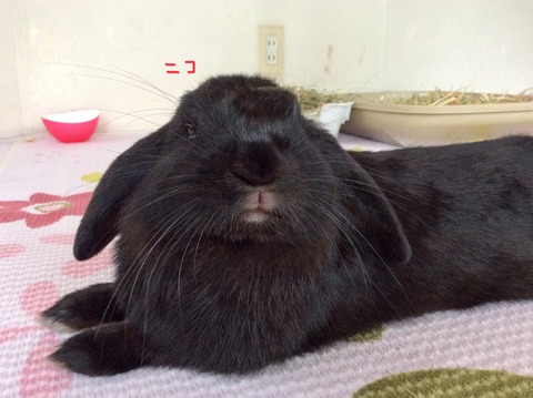 B0DE6063-94F3-4035-B5F0-0A2C4EF07187