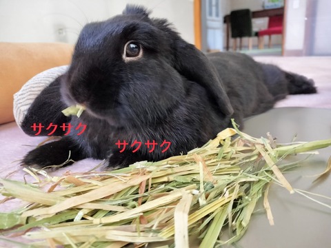 559D5E56-AC4E-4058-9CE7-BC0015BE4A0F