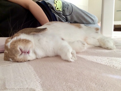 F092D00D-B528-41CC-8850-0E6F4709DFBC