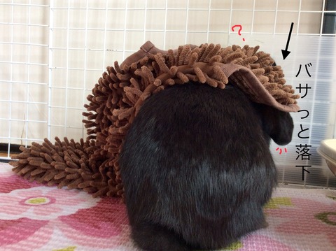 C983FF91-96C1-486A-BF61-807387AD0A8A