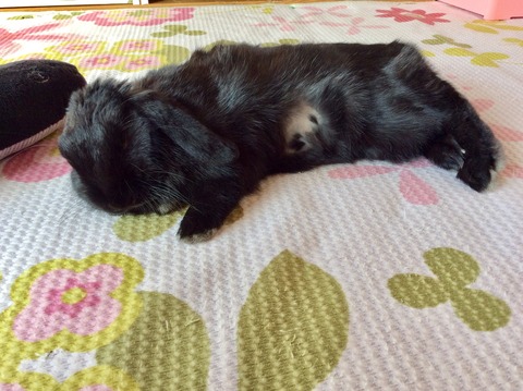 7916601F-C780-48DE-A341-96D52F330B5A