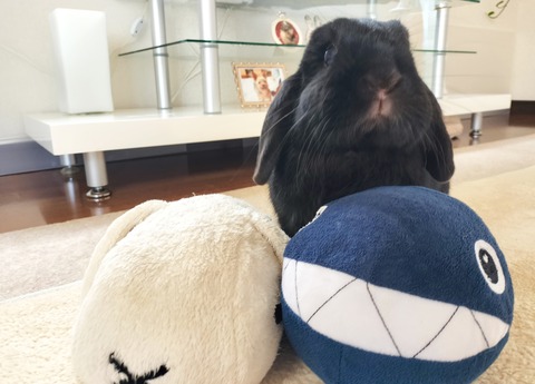 0135BA10-DC6C-47CC-A4D9-4D5B50B62034