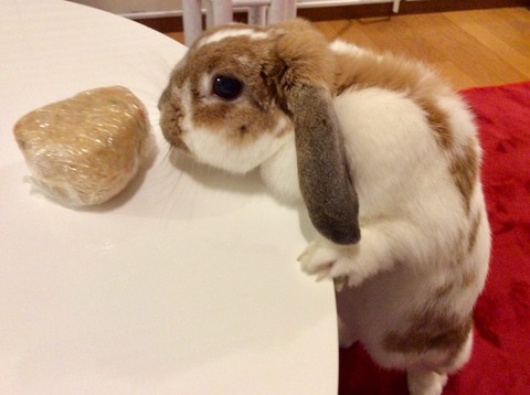 6B7172BB-5E8A-46DD-8B05-C4AE4D9AB289