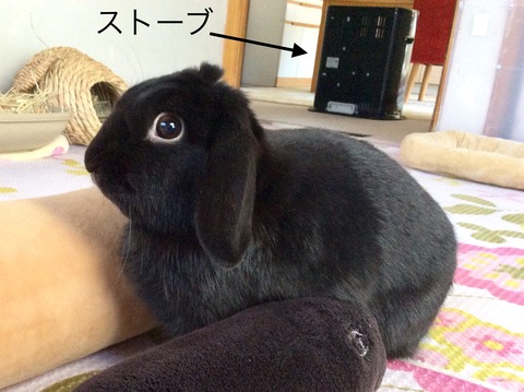 E3C23829-8B5E-4588-9A9D-4AAD1F1E6F1E