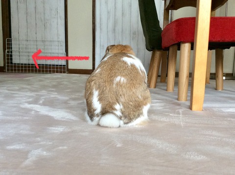 F8E7E441-8A80-4478-83BB-46B88AF51737