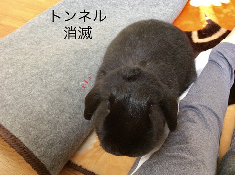 6B356D6F-7BBC-4058-98CA-1FAEF7A96282