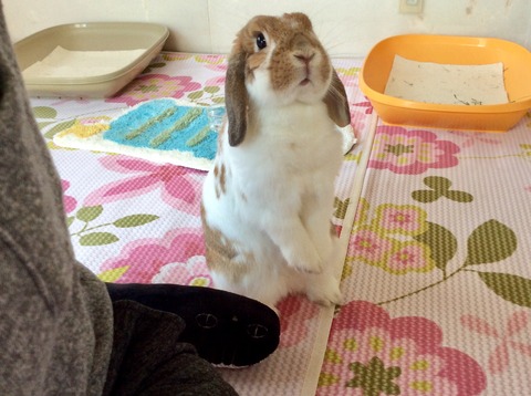 25A32DE0-95A7-4616-869A-10ACF6E1D8BD