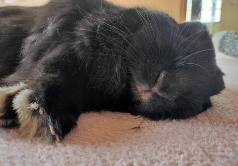 BC7EEC26-187C-4F94-86BF-F09DE6ABC1D9