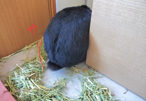 800703F1-813A-45D8-BCC2-0D926546B93A