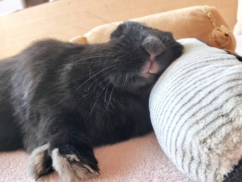 61F29B59-0AA1-4A57-87C5-AFBD3DFFA726